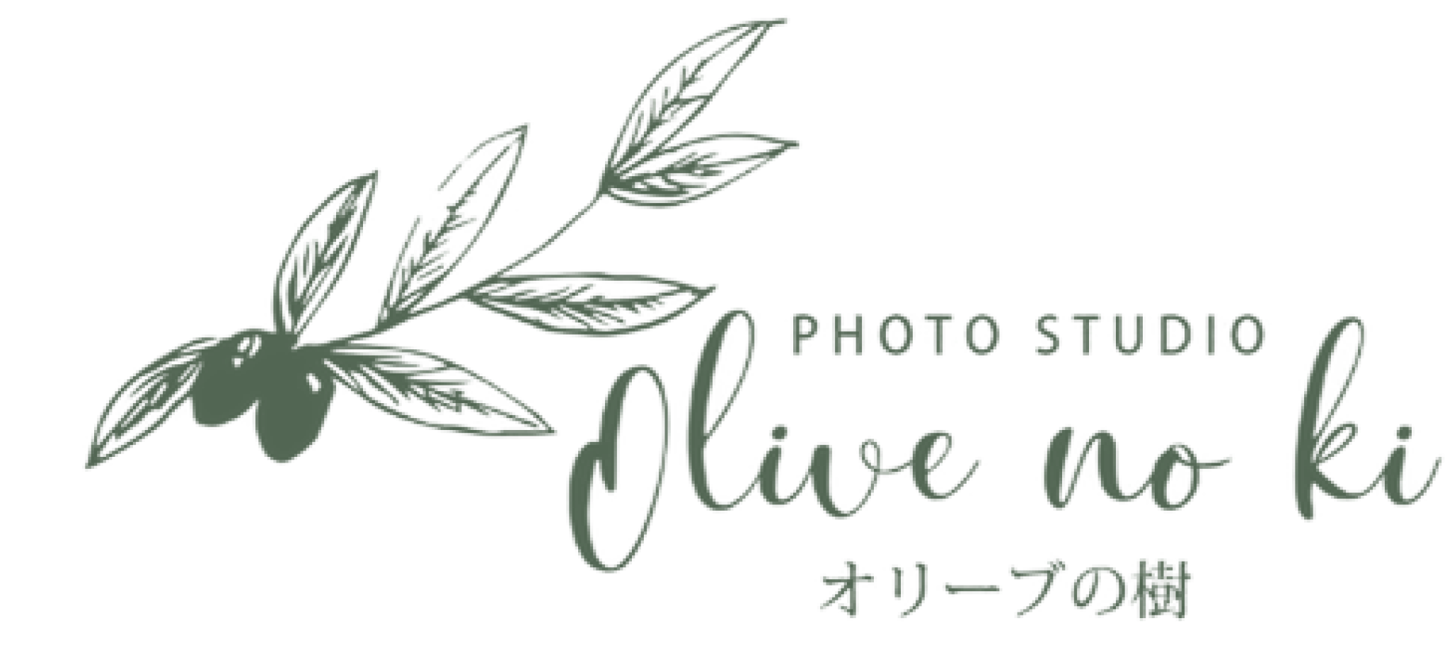 PHOTO STUDIO Olive no ki オリーブの樹